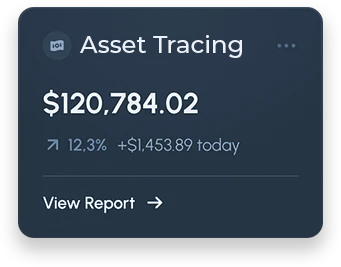 Quantifying hidden transfers and irregular transactions to build defensible findings.